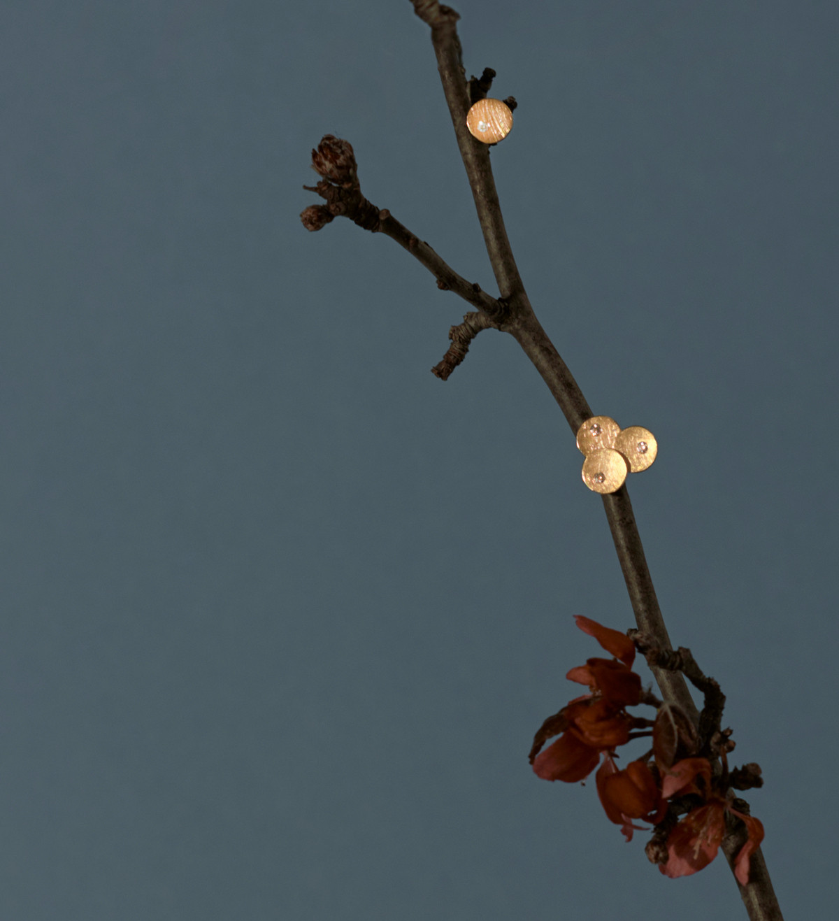 Pendientes oro Flô 8mm y diamantes 0,05ct