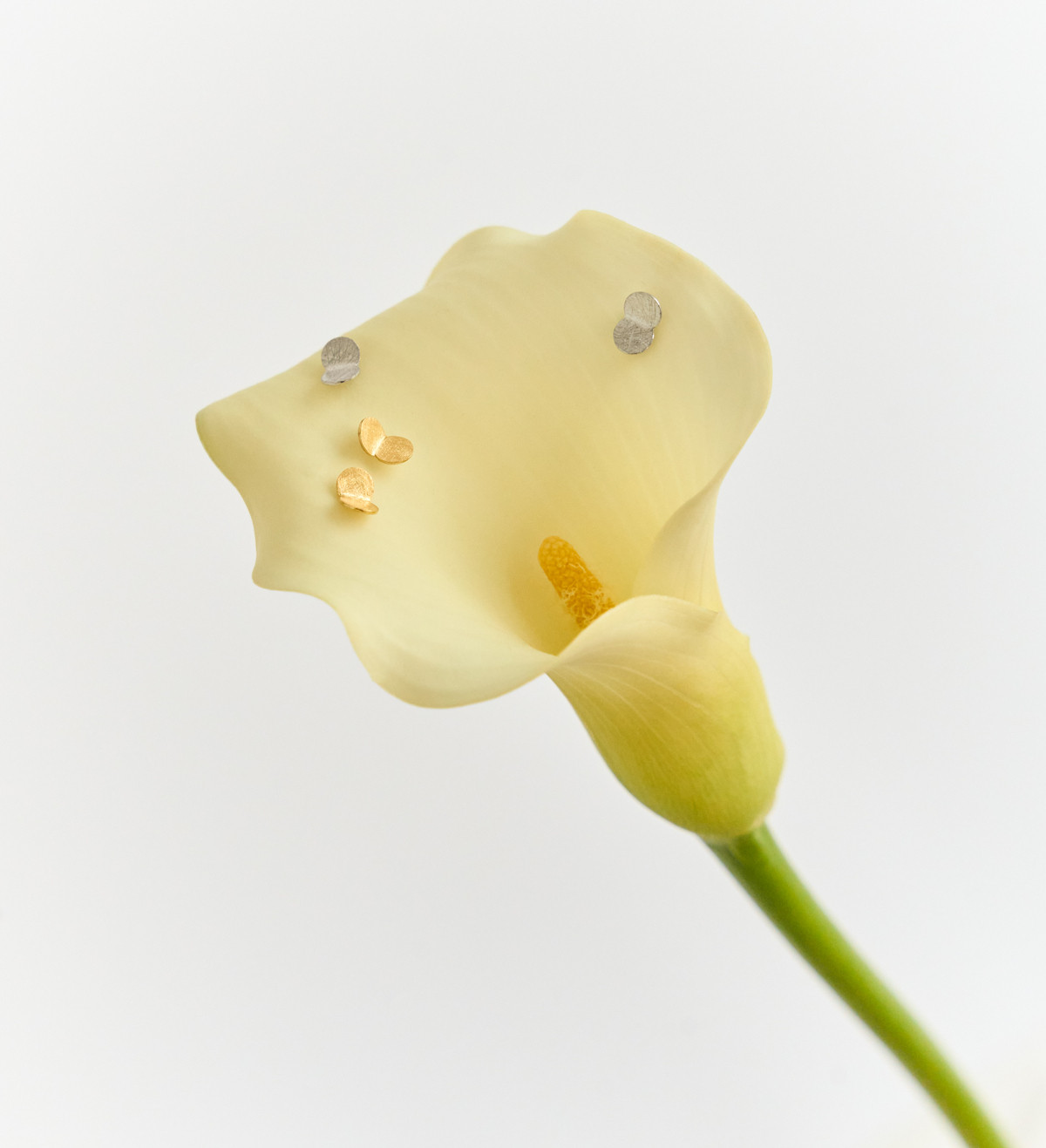 Pendientes oro Papallones 7mm