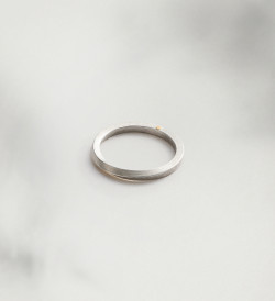 18k gold and silver ring Pinassa for man