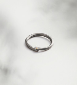Anillo oro y titanio Pinassa para hombre