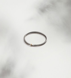Anillo oro  y titanio Pinassa