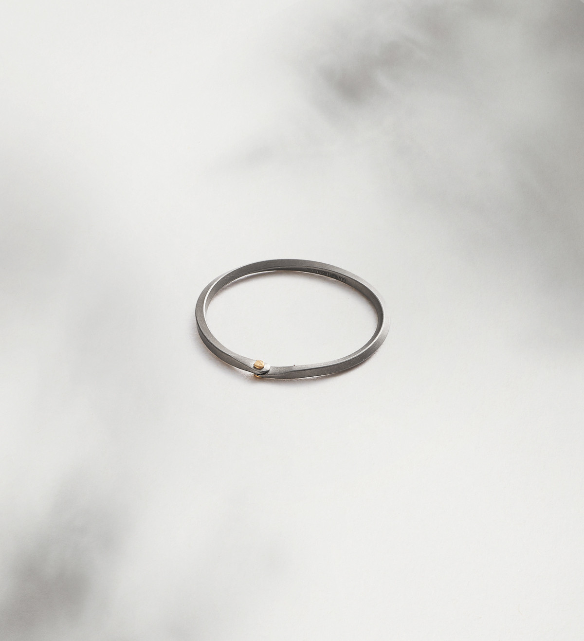Anillo oro  y titanio Pinassa
